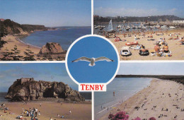 TENBY . PAYS DE GALLES - Pembrokeshire