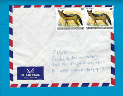 Burundi N°901 Omslag Bujumbura Naar Liege (België) 1984 UNG - Lettres & Documents