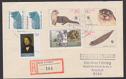 Louis Llewandowski DDR U7 GA Fischotter R-Brief Aus Arnsdorf Mit MiF DDR M- Und DM-Währung Und Berlin, BRD - Covers - Used