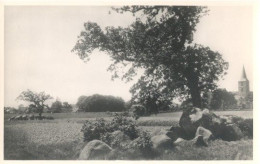 Rolde, Gezicht Op De Beide Zeer Bekende Hunnebedden    )Hunebedden) - Rolde