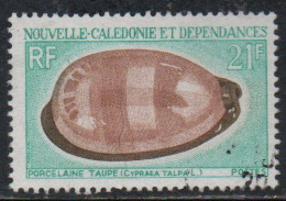 NOUVELLE CALEDONIE NEW NUOVA CALEDONIA 1970 MARINE LIFE CYPRAEA MOLE PORCELAIN SHELL 21fr USED OBLITERE' USATO - Gebruikt