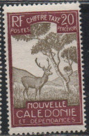 NOUVELLE CALEDONIE NEW NUOVA CALEDONIA 1928 POSTAGE DUE STAMPS TAXE SEGNATASSE MALAYAN SAMBAR 20c MH - Timbres-taxe