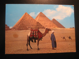 The GIZA Pyramids Camel 1973 Cancel To Spain Archeology Archeologie EGYPT Postcard - Piramiden