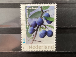 The Netherlands / Nederland - Fruit, Sleedoorn 2021 - Gebraucht