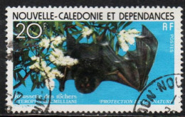 NOUVELLE CALEDONIE NEW NUOVA CALEDONIA 1978 NATURE PROTECTION FLYING FOX 27fr OBLITERE' USED USATO - Gebruikt