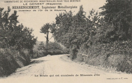 Le Genest 53 (8765) La Route Qui Est Encaissée De Minerais D'Or - Le Genest Saint Isle