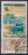 1965 Ruanda, Mi:RW 125A, Sn:RW 126, Yt:RW 118, Ankole-Watusi-Rinder (Bos Primigenius Taurus) - Used Stamps