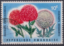 1966 Ruanda, Mi:RW 157A, Sn:RW 151, Yt:RW 148, Echinops Amplexicaulis, Blumen - Used Stamps