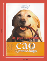 Portugal 1998 Guia Pedagógico Dos Animais De Estimação Cão O Grande Amigo útil Para A Sociedade N.º 3 Dog Animal - Pratique