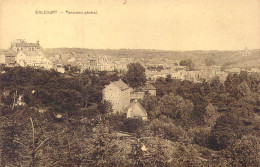 BELGIQUE - Walcourt - Panorama Général - Carte Postale Ancienne - Walcourt