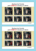 LIBERIA 2023 SHEET 6V (REGULAR & OVERPRINT) PANDEMIC COVID-19 MONKEY MONKEYS APE APES CHIMPANZEE CHIMPANZE MNH - Chimpanzés