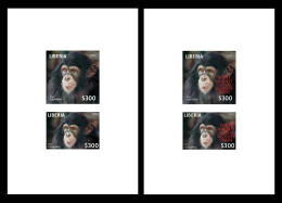 LIBERIA 2023 DELUXE PROOF (REGULAR & OVERPRINT) PANDEMIC COVID-19 MONKEY MONKEYS APE APES CHIMPANZEE CHIMPANZE MNH - Chimpanzés