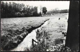 NETHEN - Parc Du Château Savenel-la Néthen - Edition : Maison Bourguignon à Néthen - Grez-Doiceau