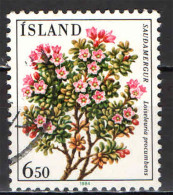 ISLANDA - 1984 - FLORA LOCALE: LOISELEURIA PROCUMBES - USATO - Oblitérés