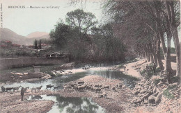 Brignoles -   Moutons Sur Le Caramy  -  CPA °J - Brignoles