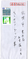 66310 - Japan - 2005 - ¥80 "P-Marke" EF A Bf ZUSHI -> Sapporo - Cartas & Documentos