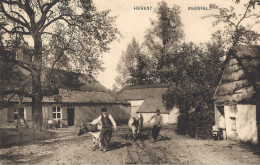 Herent   -   Neerpelt.   -   Boerderij - Neerpelt