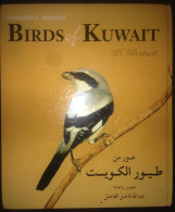 KUWAIT Birds Of Kuwait A Portrait Abdullah F. Alfadhel Ornithology - Sonstige & Ohne Zuordnung