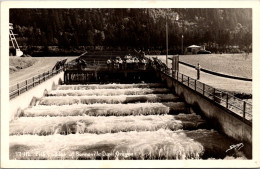Oregon Bonneville Dam Fish Ladders 1950 Real Photo - Andere & Zonder Classificatie