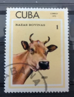 1973, Mi1979 Used, Razas Bovinas, Cuba - Gebraucht