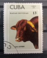 1973, Mi1984 Used, Razas Bovinas, Cuba - Gebraucht