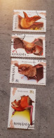 ROMANIA  BATS  SET USED - Gebruikt