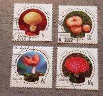 ROMANIA MUSHROOMS SET USED - Used Stamps