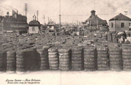 New Orleans - Levee Scene - Baled Cotton Ready For Transportation - Usa - New Orleans