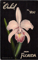 Florida Orlando Mead Botanical Gardens An Orchid To You From Florida 1941 Curteich - Orlando