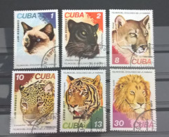 1977, Mi 2257-2262 Used, Felinos Del Zoologico Della Habana, Cuba - Gebraucht