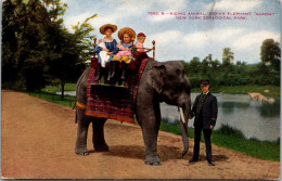 New York City New York Zoological Park Children Riding Indian Elephant "Gunda"  - Bronx