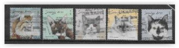 Suède 2022 N°3413/3417 Oblitérés Chats - Used Stamps