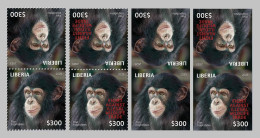 LIBERIA 2023 - TETE BECHE T-B PAIRS PERF & IMPERF (REGULAR & OVERPRINT) APES MONKEYS SINGES CHIMPANZEE CHIMPANZE MNH - Schimpansen