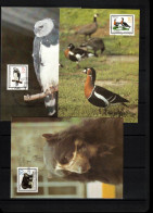 Germany / Deutschland DDR 1985 Endangered Animals Maximum Cards - Maximumkarten (MC)