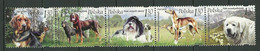 POLAND MNH ** 4015-4019 En Bande Chien Chiens Dog - Nuovi