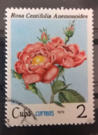 1979, Michel Nr.2420 /o/ Rosa Centifolia, Cuba - Gebraucht