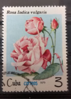 1979, Michel Nr.2421 /o/ Rosa Indica Vulgaris, Cuba - Gebraucht