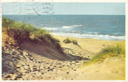 BELGIQUE - Dunes Et Mer - Carte Postale Ancienne - Other & Unclassified