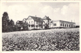 BELGIQUE - ROBERTVILLE - Hôtel Du Lac - Carte Postale Ancienne - Waimes - Weismes