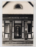 F 67770 SESSENHEIM, Memorial Goethe - Bischwiller