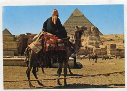 AK 134851 EGYPT - Giza - Pyramids & Sphinx - Piramiden