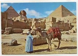 AK 134854 EGYPT - Giza - Pyramids & Sphinx - Piramiden