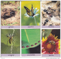 Lot De 6 Cartes Insectes - Collection Disney (winnie L'ourson) - Other & Unclassified