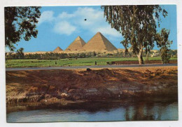AK 134877 EGYPT - Giza - Pyramids - Piramiden
