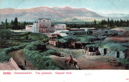 Jordanie - Jericho - Vue Générale - Colorisé   -  Carte Postale Ancienne - Jordan