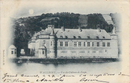 BELGIQUE - HASTIERE - Vue Du Château De Freyr - Carte Postale Ancienne - Hastière