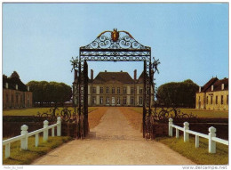 Carte Postale 61 - Exmes - Le Haras Du Pin Trés Beau Plan - Exmes