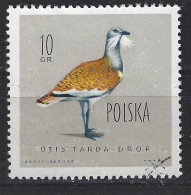 Polen Poland Pologne Polska Used ; Grote Trap Bustard Outarde Avutarda Vogel Bird Ave Oiseau - Straussen- Und Laufvögel