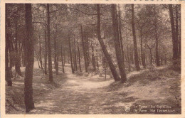 BELGIQUE - LA PANNE - Les Sapinières - Carte Postale Ancienne - Other & Unclassified