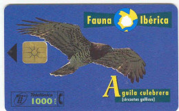 Spain Fauna Ibérica ÁGUILA CULEBRERA, Usada, Perfecto Estado # B-073 - Aquile & Rapaci Diurni